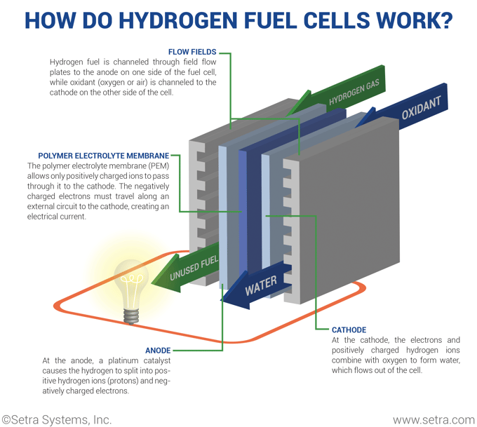 What is a Hydrogen Fuel Cell and How Does it Work