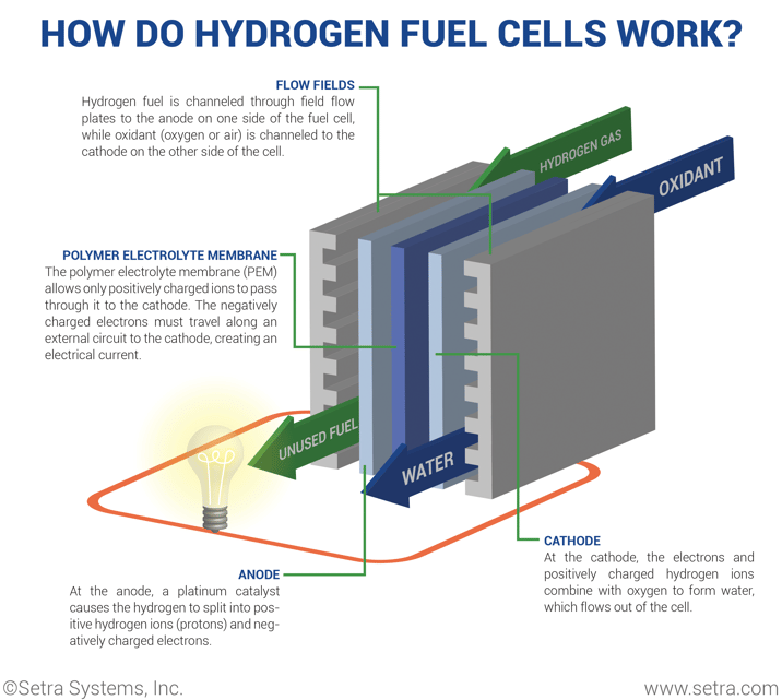 How do Hydrogen Fuel Cells Work.png