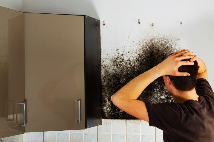 How to Prevent Mold Growth